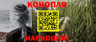 крисы Будённовск