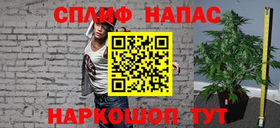 крисы Будённовск
